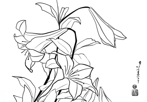 Lilies By Katsushika Hokusai Coloring Page